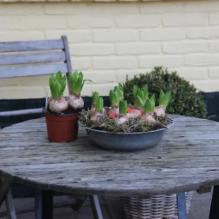 מלון Duinhotel Texel 2*