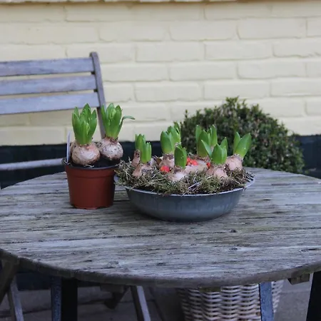 מלון Duinhotel Texel