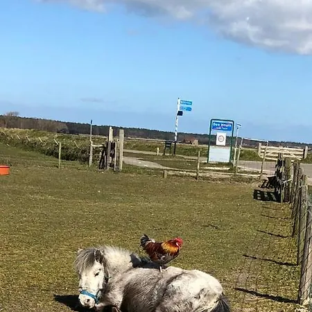 Duinhotel Texel Отель Де-Коог