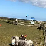 Duinhotel Texel 酒店 德科赫