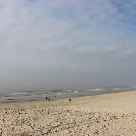 Duinhotel Texel 酒店 德科赫