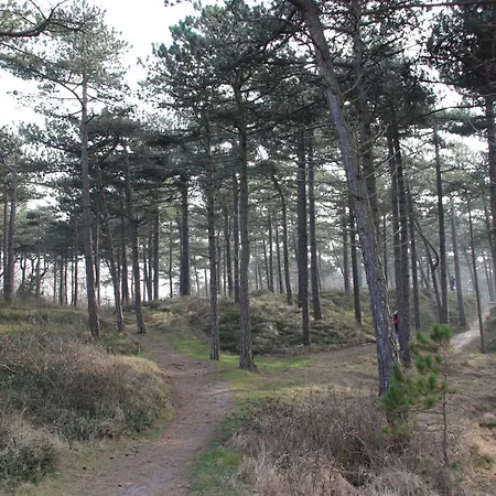 Duinhotel Texel 2* De Koog (Texel)