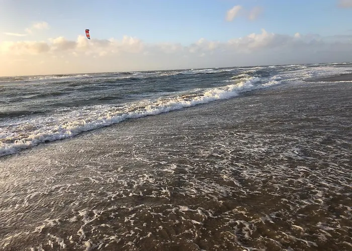 Hotel Duinhotel Texel De Koog (Texel)