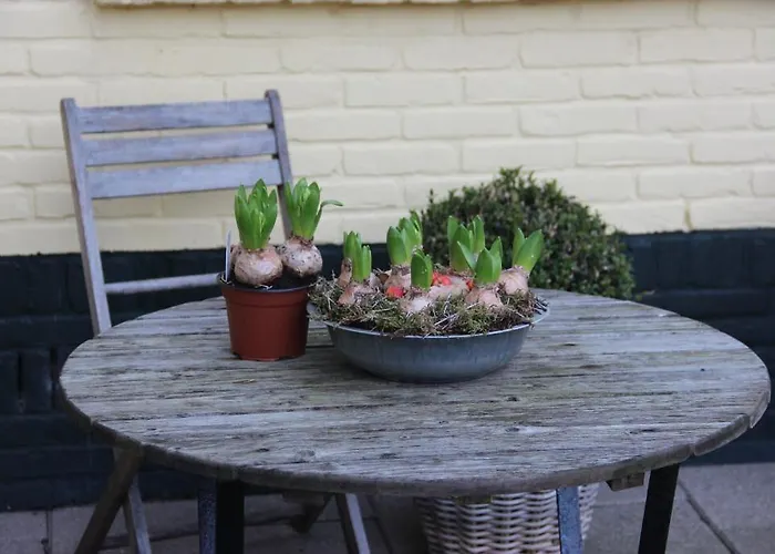 Hotel Duinhotel Texel 2*