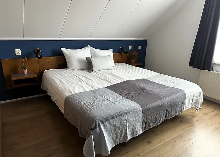 Hotel Duinhotel Texel 2*