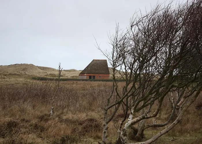 Duinhotel Texel Szálloda