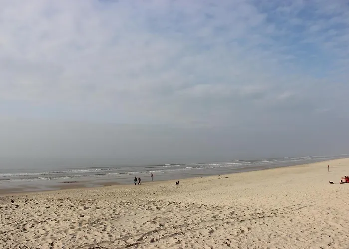 Duinhotel Texel Szálloda De Koog