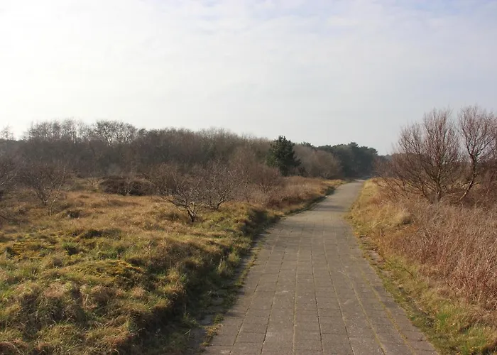 Hotel Duinhotel Texel 2*