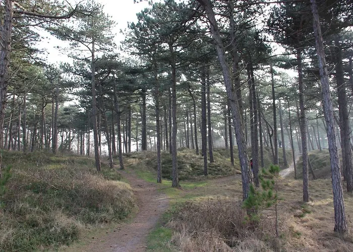 Duinhotel Texel 2* De Koog (Texel)