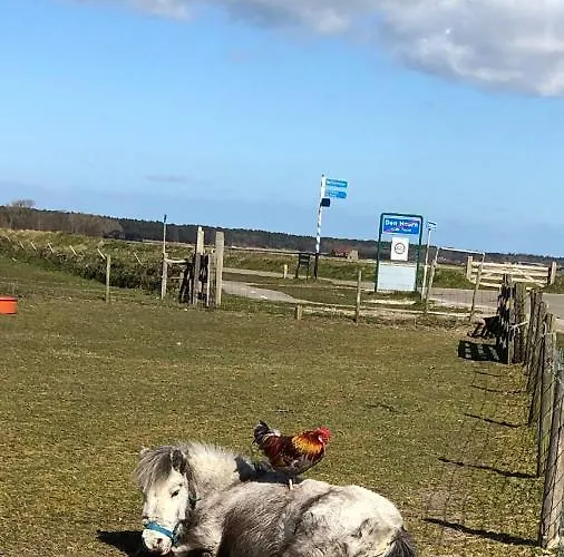 Duinhotel Texel Szálloda De Koog